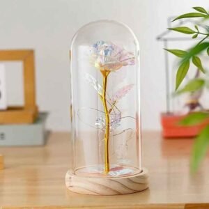 Lampe Rose Éternelle Avec Guirlande En Dôme De Verre Hover Image