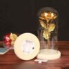 Lampe Rose Éternelle Avec Guirlande En Dôme De Verre