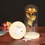 Lampe Rose Éternelle Avec Guirlande En Dôme De Verre