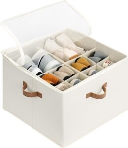 Boîte de Rangement Compartimentée avec Couvercle Transparent – Darylum