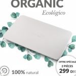 Tapis de Bain en Pierre Realion - L'Élégance Naturelle et l'Absorption Instantanée ⭐2 pièces⭐ "lb"
