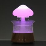 HUMIDIFICATEUR D'AIR CHAMPIGNON